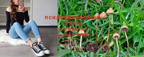 spice Майский