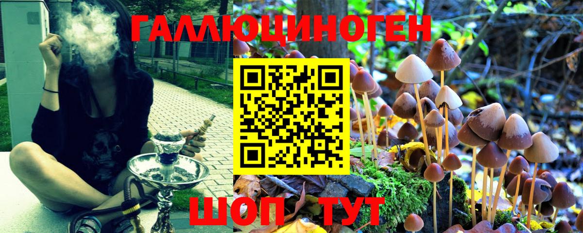 Галлюциногенные грибы Magic Shrooms Дюртюли