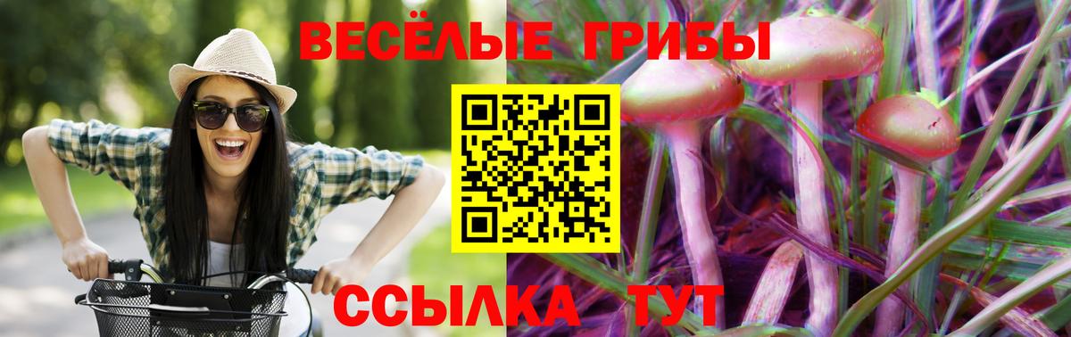Псилоцибиновые грибы ЛСД  наркота  Дюртюли 